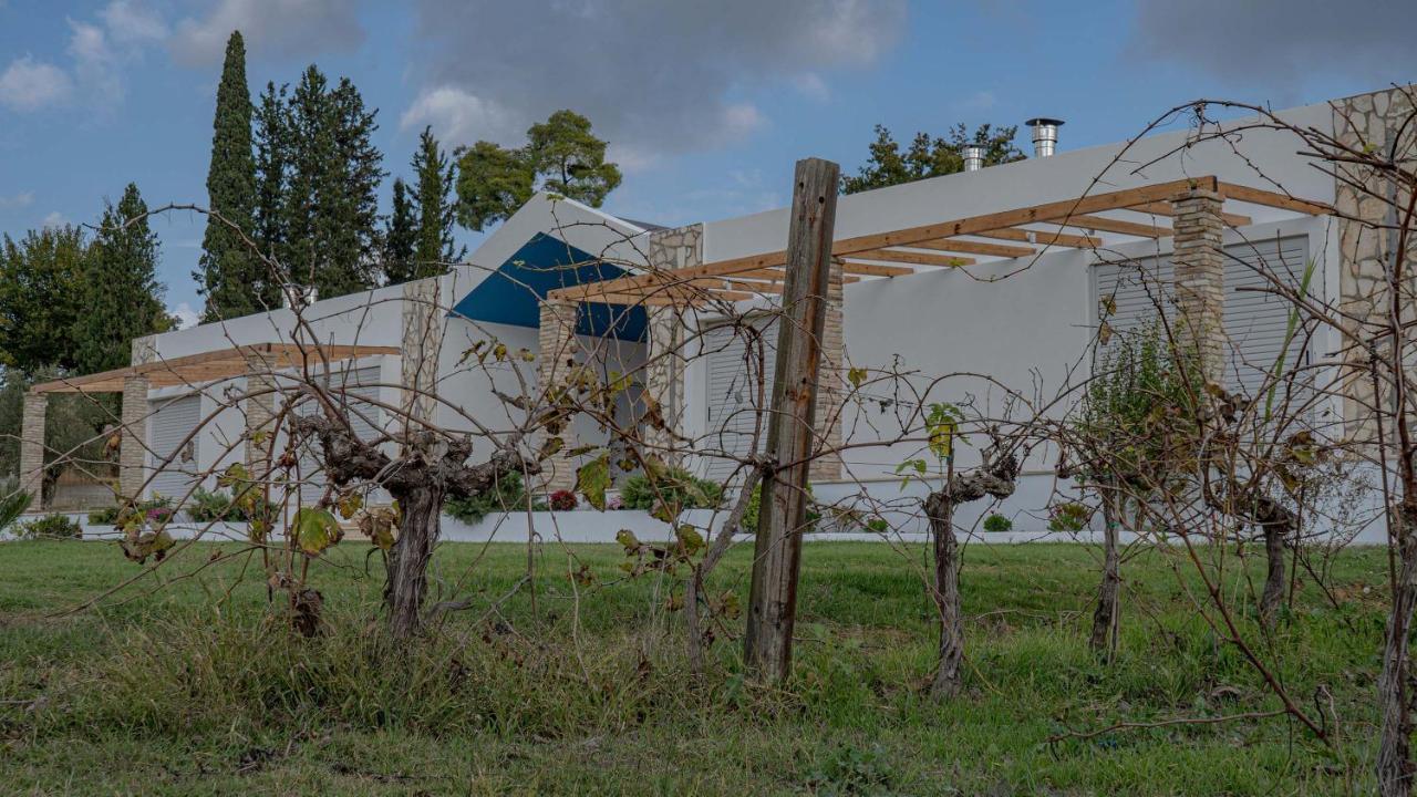 Апартаменты Atrium Vinea Brintziki Winery Smila Экстерьер фото