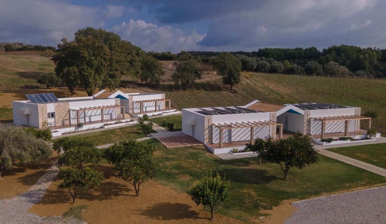 Апартаменты Atrium Vinea Brintziki Winery Smila Экстерьер фото