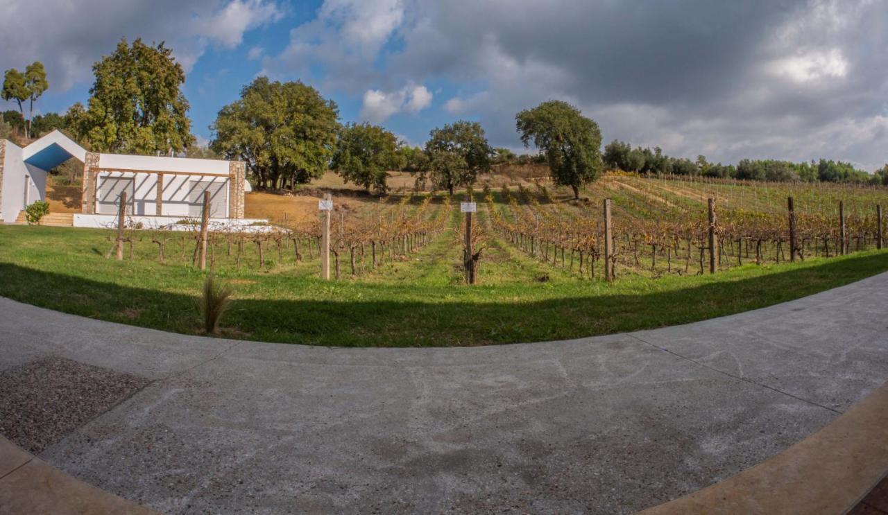 Апартаменты Atrium Vinea Brintziki Winery Smila Экстерьер фото