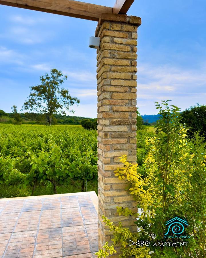 Апартаменты Atrium Vinea Brintziki Winery Smila Экстерьер фото